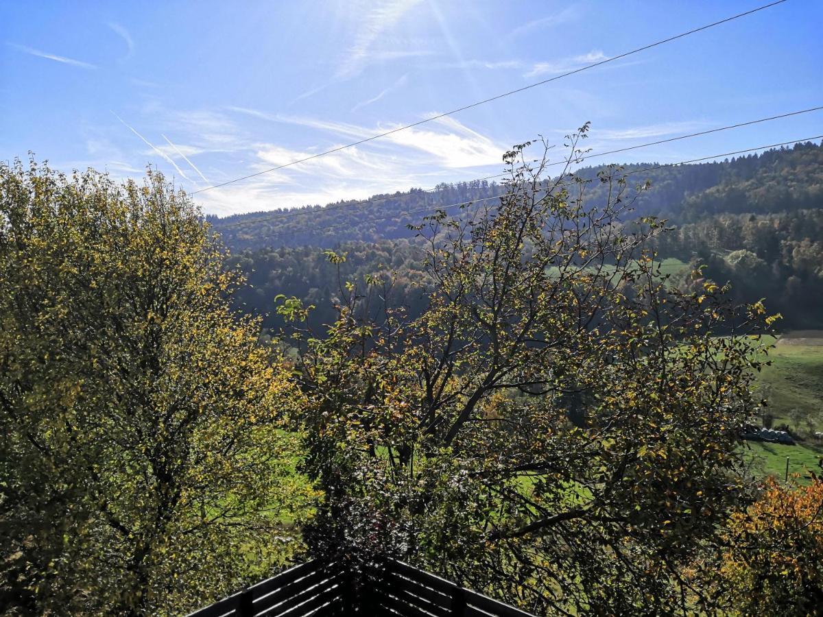 Apartmaji Sofia Maribor Buitenkant foto