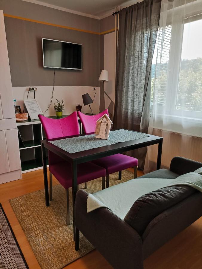 Apartmaji Sofia Maribor Buitenkant foto